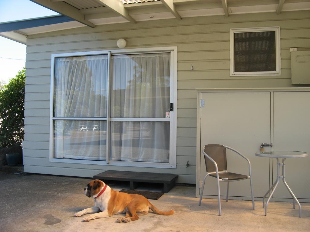Tongariro River Motel 투랑가이 객실 사진